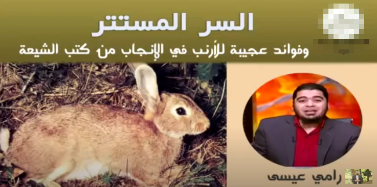 دين الأرانب.. شاهد تخاريف علماء الشيعة حول أنثى الأرنب التي تحيض!