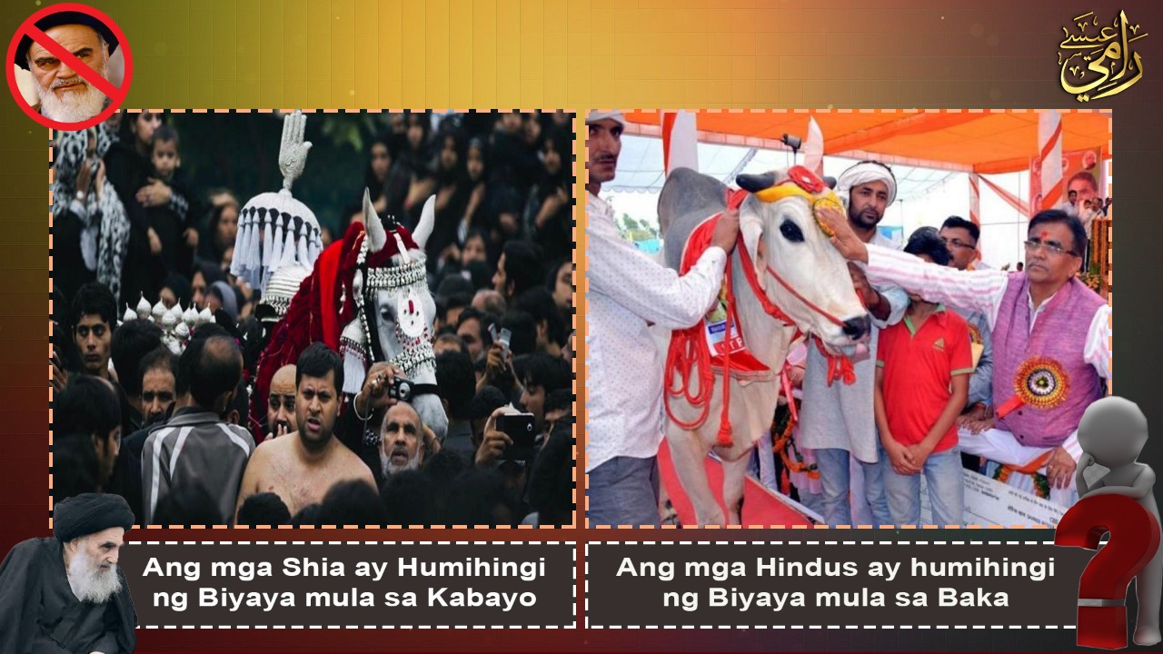 Ang mga Hindus ay humihingi ng Biyaya mula sa Baka  Ang mga Shia ay Humihingi ng Biyaya mula sa Kabayo