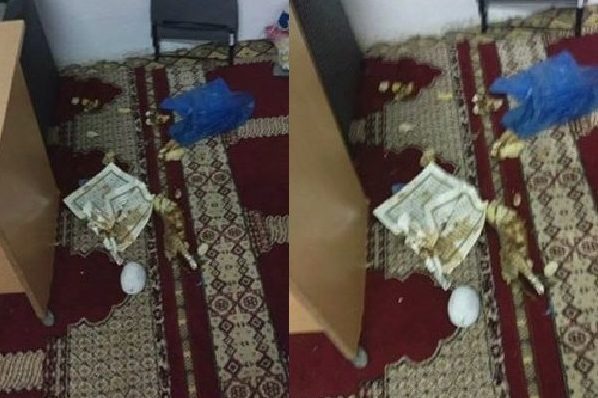شاهد كيف يتعامل الشيعة مع القرآن؟!!