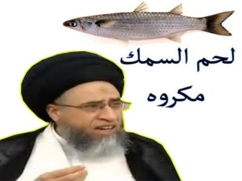 شاهد.. علماء الشيعة يقولون: السمك منه مؤمن ومنه كافر نجس